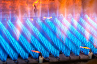 Davington gas fired boilers